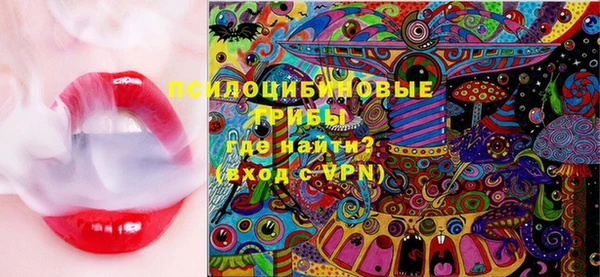 соль курить ск Белокуриха