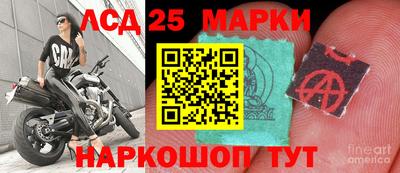 ПСИЛОЦИБИНОВЫЕ ГРИБЫ Моздок