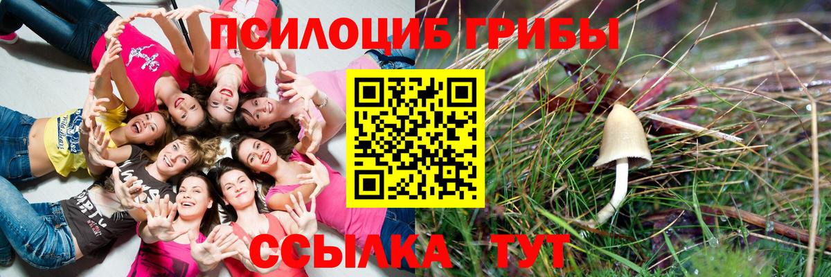 Псилоцибиновые грибы Magic Shrooms Великие Луки