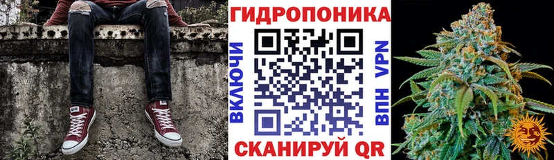 Бошки Шишки ГИДРОПОН  mega tor  Великие Луки 